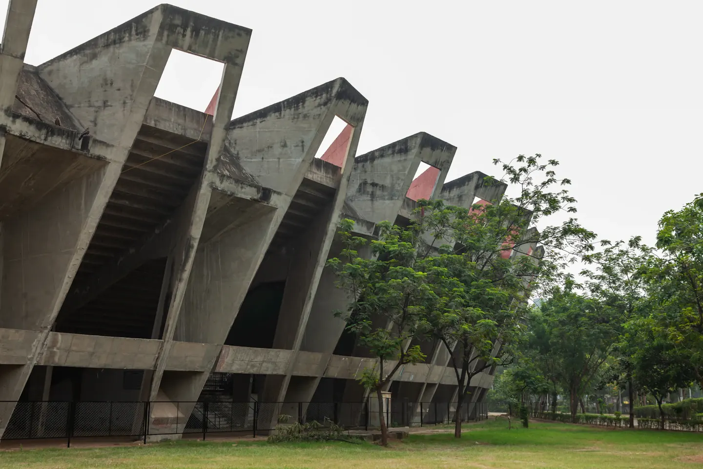 Modern concrete building set among trees