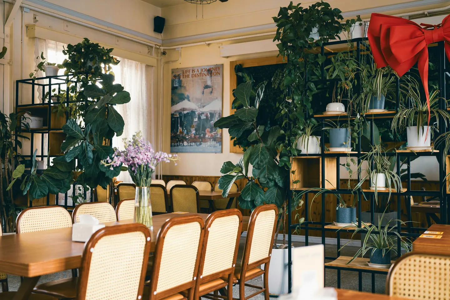 Bright dining room with plants and wooden chairs